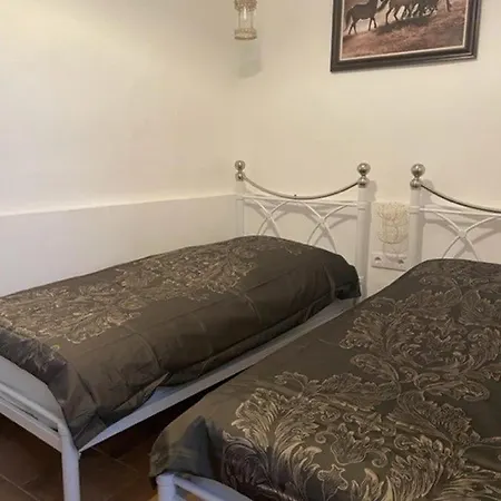 Spacious 4-bed House